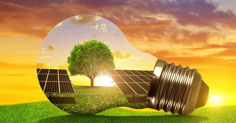 Photo by twitter.com/nexusgreenltd/