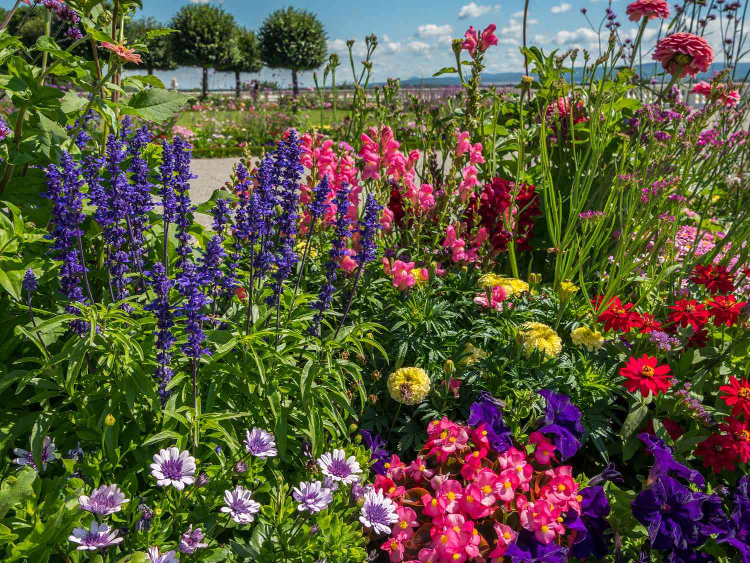 garden