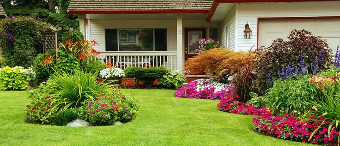 healthylawn