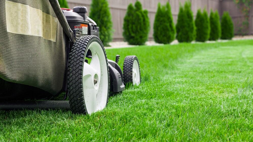 lawncare2