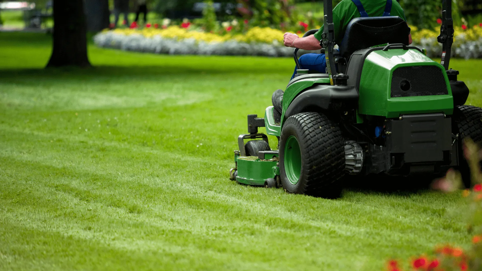 lawncare9