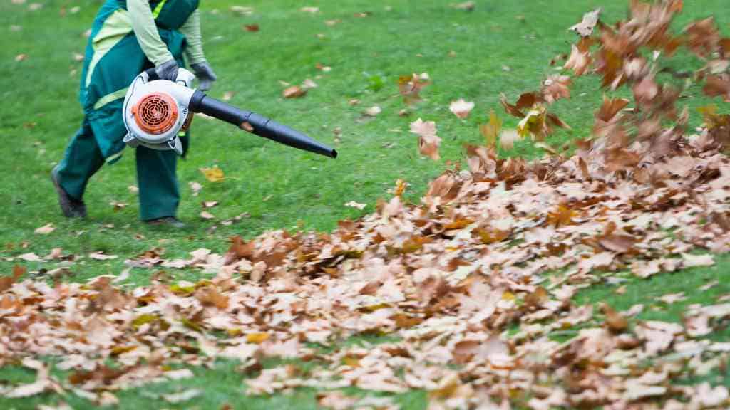 lawnclean