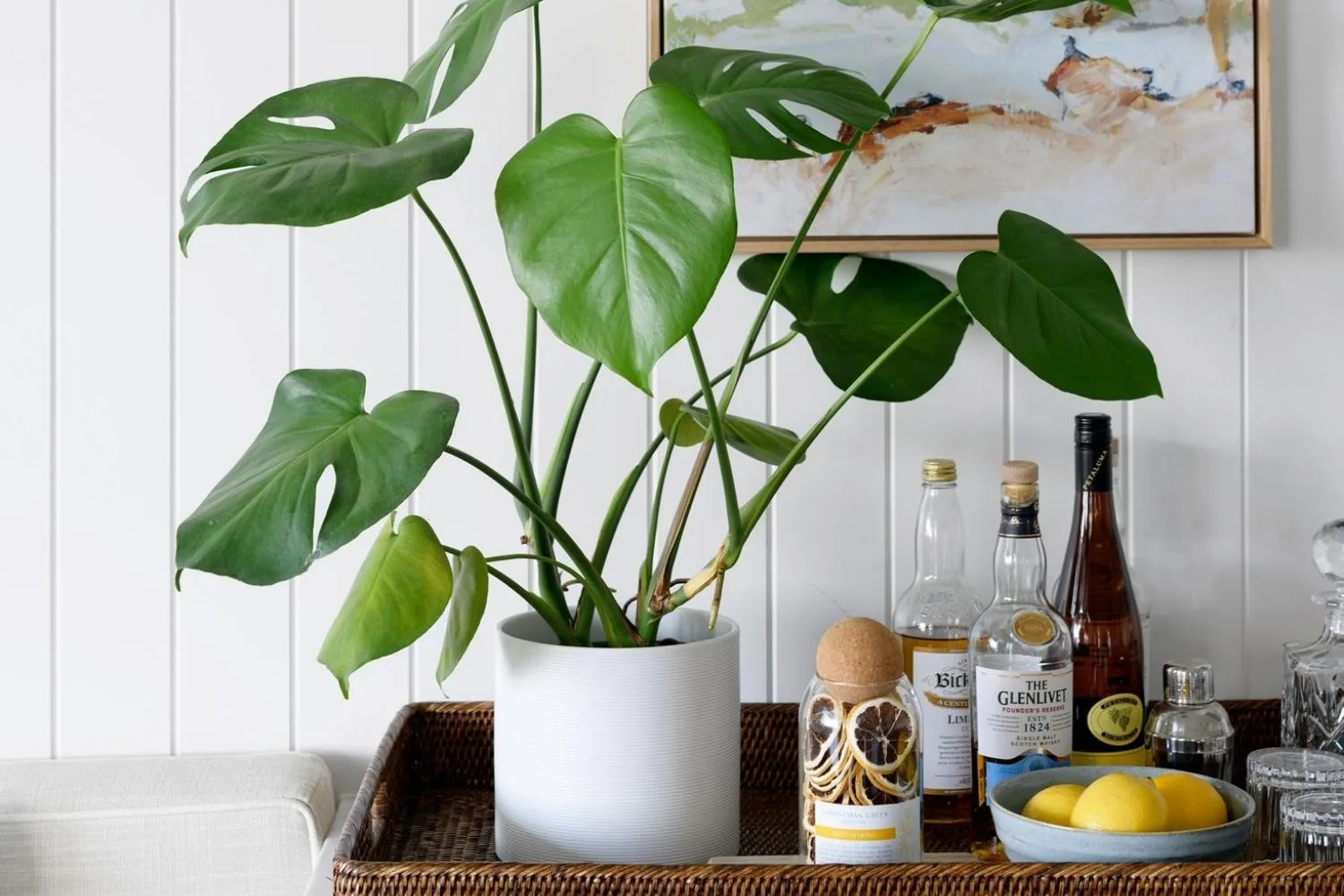 plants-ezgif.com-webp-to-png-converter